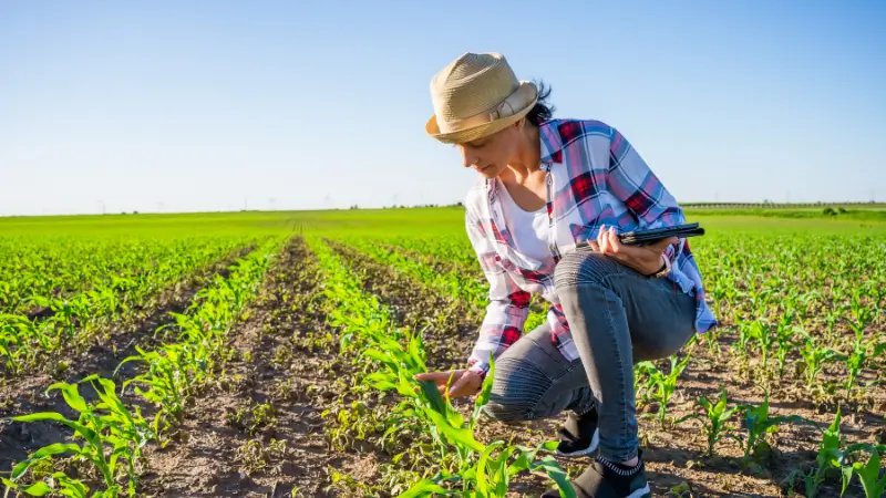 Community-led reforestation project creating jobs and supporting local livelihoods – planettools