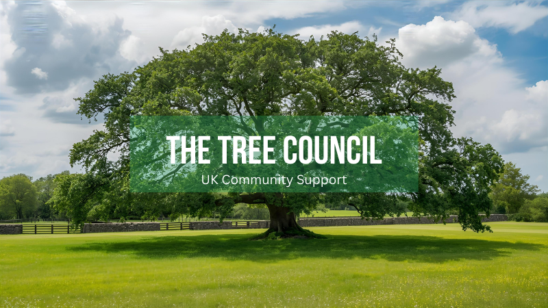 Logo for the tree council, a uk-based reforestation platform providing grants and support for local community planting projects.