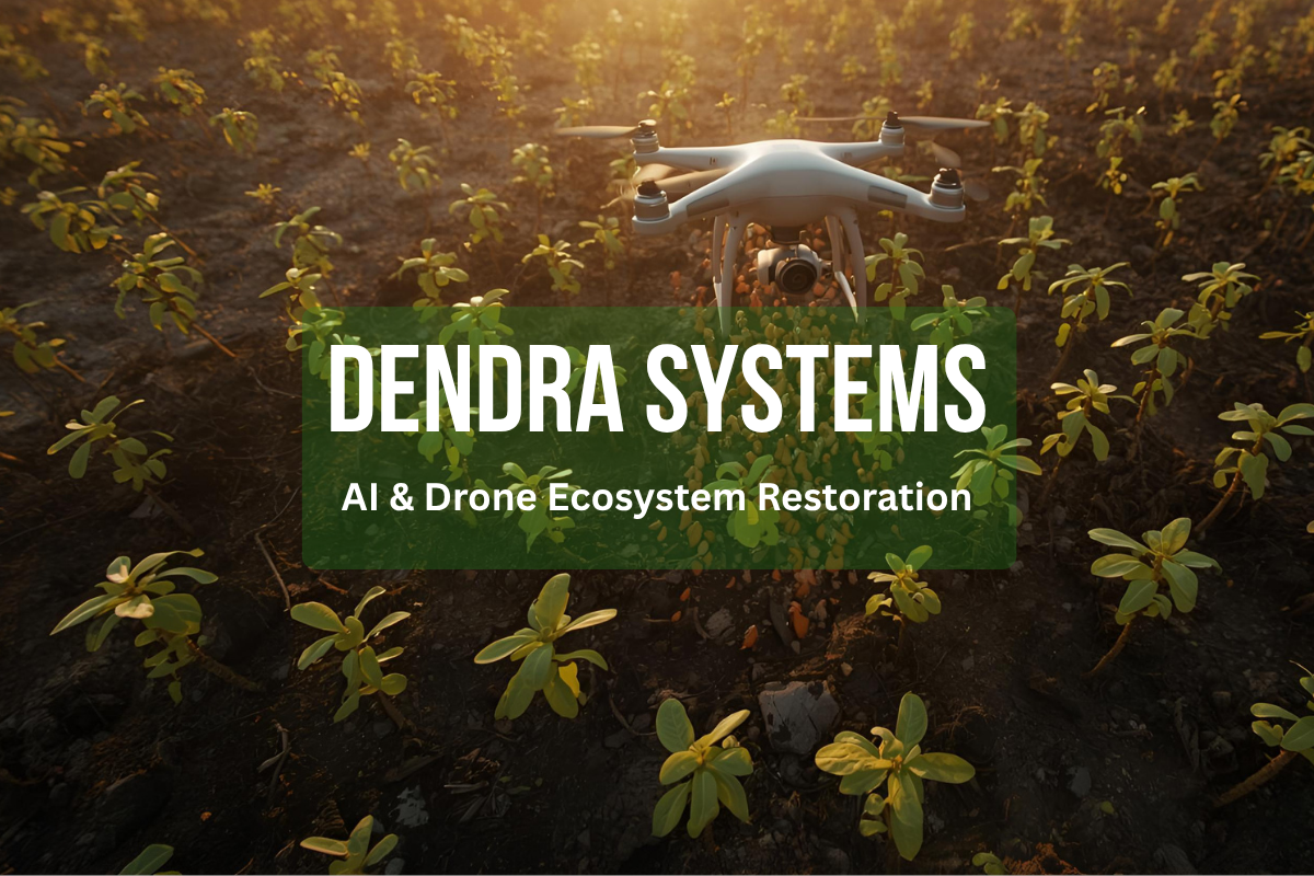 A nature image with a company logo dendra systems made in canva - planettools