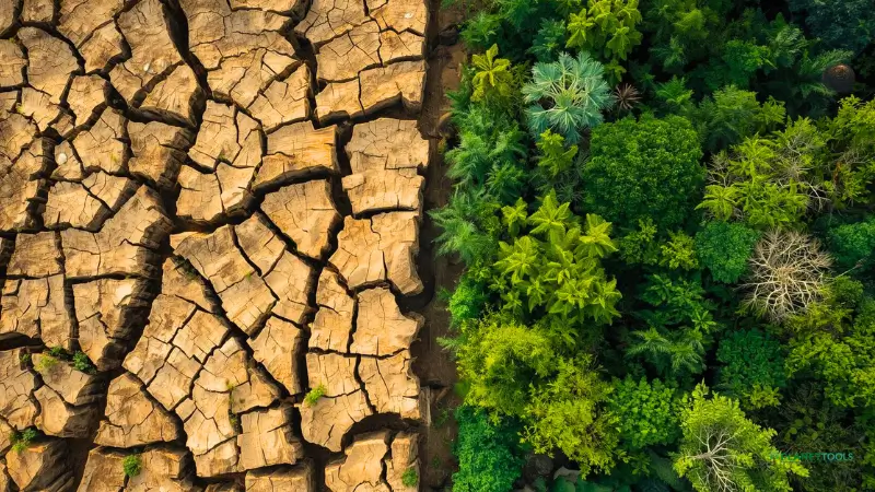 A visual comparison of degraded land versus a thriving forest garden, showing the systemic change promoted by non-profit tree planting websites like trees for the future.