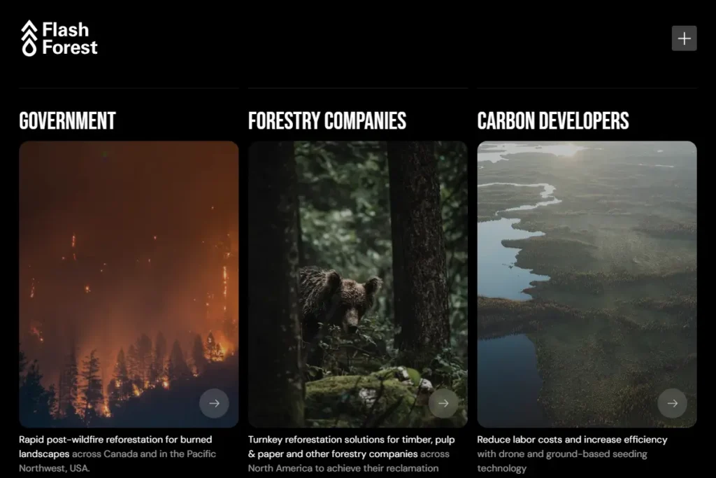 Screenshot of flash forest with reforestation