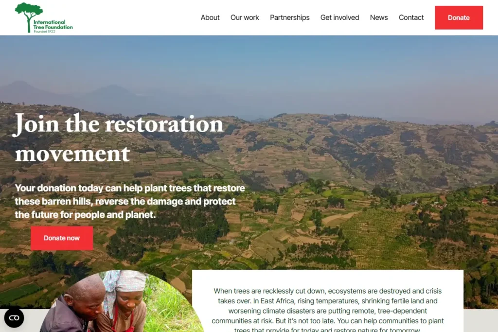 Reforestation landscape supported by the International Tree Foundation