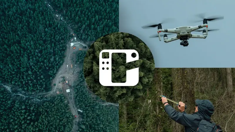 Satellite view of forest change next to drone photo and on-ground tree measurement for verification