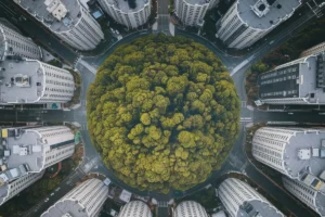 Aerial view of a dense Miyawaki method mini forest growing on urban land completely surrounded by city buildings and roads in 2026